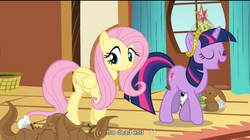 Size: 764x428 | Tagged: safe, screencap, fluttershy, twilight sparkle, g4, magical mystery cure, big crown thingy, youtube caption