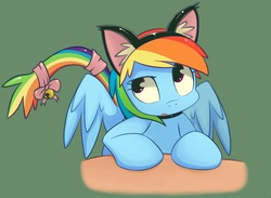 Size: 1311x958 | Tagged: safe, artist:grumblepluck, edit, rainbow dash, cat, pegasus, pony, g4, bell, cat ears, collar, cute, dashabetes, female, kitten, mare, open mouth, pet play, rainbow cat, solo