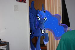 Size: 4272x2848 | Tagged: safe, artist:sniper6vs7rocket, princess luna, pony, g4, doorway, female, ponies in real life, raised hoof, room, solo, vector