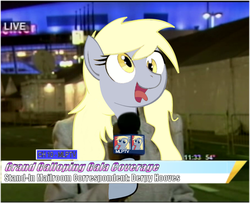 Size: 984x799 | Tagged: safe, derpy hooves, pegasus, pony, g4, female, mare, meme, old