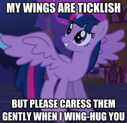 Size: 588x570 | Tagged: safe, twilight sparkle, alicorn, pony, g4, female, hug, image macro, mare, smiling, ticklish wings, twilight sparkle (alicorn), wingboner, winghug, wings