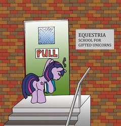 Size: 752x787 | Tagged: safe, artist:jberg18, twilight sparkle, g4, door, solo, the far side