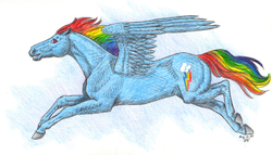 Size: 800x456 | Tagged: safe, artist:silverflamewanderer, rainbow dash, g4, realistic, traditional art