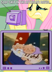 Size: 624x854 | Tagged: safe, fluttershy, gnome, g4, exploitable meme, fluttercry, tv meme