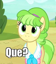 Size: 640x720 | Tagged: safe, chickadee, ms. peachbottom, g4, games ponies play, image macro, ms. chickenbottom, spanish