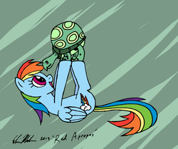 Size: 1902x1587 | Tagged: safe, artist:redapropos, rainbow dash, tank, g4