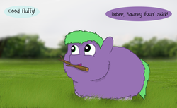 Size: 2555x1567 | Tagged: safe, artist:gowdie, fluffy pony, fetch, grass, happy, park, stick