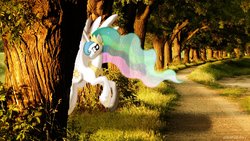 Size: 1280x720 | Tagged: safe, artist:colorfulbrony, princess celestia, pony, g4, forest, irl, photo, ponies in real life, solo