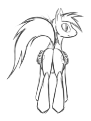 Size: 600x800 | Tagged: safe, artist:chrysopoeia, rainbow dash, pegasus, pony, g4, butt, dock, featureless crotch, female, folded wings, looking back, monochrome, plot, rear view, sketch, solo, wings