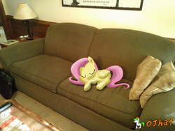 Size: 3264x2448 | Tagged: safe, artist:ojhat, fluttershy, g4, couch, ponies in real life, sleeping