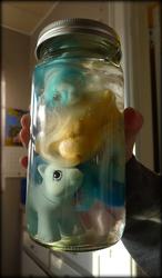 Size: 560x960 | Tagged: safe, pony, g1, acetone, baby, baby pony, irl, jar, melt, melted, nightmare fuel, photo, toy, toy abuse