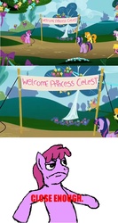 Size: 800x1500 | Tagged: safe, edited screencap, screencap, berry punch, berryshine, carrot top, cherry berry, golden harvest, twilight sparkle, twinkleshine, g4, swarm of the century, banner, close enough, comic, meme, screencap comic, we couldn't fit it all in, welcome princess celest