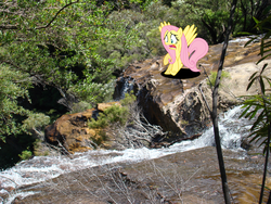 Size: 1024x768 | Tagged: safe, artist:joeypony, fluttershy, g4, cliff, creek, ponies in real life, vector, water