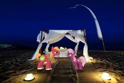 Size: 1440x960 | Tagged: safe, artist:dontae98, big macintosh, cheerilee, earth pony, pony, g4, beach, candle, dinner, male, night, ocean, ponies in real life, sand, ship:cheerimac, shipping, stallion