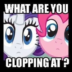 Size: 266x266 | Tagged: safe, pinkie pie, rarity, pony, unicorn, g4, caption, clopping, female, fourth wall, implied masturbation, looking at you, mare