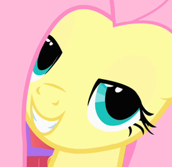 Size: 403x392 | Tagged: safe, screencap, fluttershy, pegasus, pony, g4, stare master, bedroom eyes, female, lidded eyes, mare, oh you, reaction image, smiling, solo