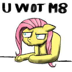 Size: 1000x1000 | Tagged: artist needed, safe, fluttershy, g4, reaction image, u wot m8