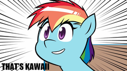 Size: 958x538 | Tagged: safe, rainbow dash, .mov, swag.mov, g4, cute, ponydotmov, reaction image