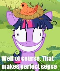 Size: 567x669 | Tagged: safe, twilight sparkle, g4, image macro, reaction image, twilight snapple