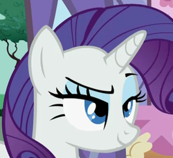 Size: 638x585 | Tagged: safe, screencap, rarity, pony, g4, costanza face, female, reaction image, solo