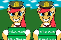 Size: 1920x1280 | Tagged: safe, artist:dsninja, oc, oc only, oc:vixy hooves, cross eye stereogram, fanart, filly guides, stereoscopy, thin mints