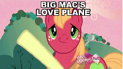 Size: 480x270 | Tagged: safe, artist:dtkraus, edit, edited screencap, screencap, apple bloom, big macintosh, g4, hearts and hooves day (episode), animated, hearts and hooves day, hub logo, hubble, image macro, male, meme, plane, propeller, rotor, stallion, text, the hub, wat