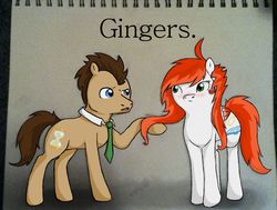 Size: 2200x1667 | Tagged: safe, artist:fernsway, doctor whooves, time turner, oc, g4, blushing