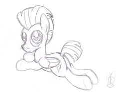 Size: 3193x2505 | Tagged: safe, artist:drawponies, thunderlane, pony, g4, male, monochrome, solo, traditional art