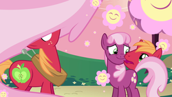 Size: 1280x720 | Tagged: safe, artist:capnpea, edit, edited screencap, screencap, big macintosh, cheerilee, earth pony, pony, g4, hearts and hooves day (episode), fimbriae, hearts and hooves day, male, not salmon, now you're thinking with portals, portal, stallion, wat