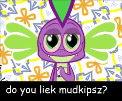 Size: 960x796 | Tagged: safe, spike, mudkip, .mov, g4, comic sans, do you liek mudkips, high, image macro, meme, mudkips, pokémon, text, wat