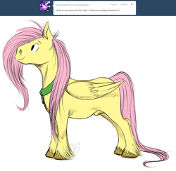 Size: 1149x1121 | Tagged: safe, artist:cartoonlion, fluttershy, oc, oc:futashy, pegasus, pony, g4, bill peet, futa, futa fluttershy, intersex, nudity, sheath, simple background, solo, style emulation, tumblr, unshorn fetlocks, white background