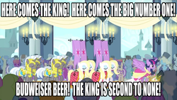 Size: 1280x720 | Tagged: safe, banner mares, crescendo, twilight sparkle, alicorn, pony, g4, image macro, royal guard