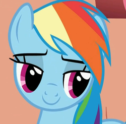 Size: 512x503 | Tagged: safe, screencap, rainbow dash, pegasus, pony, g4, cropped, female, lidded eyes, mare, smiling, solo