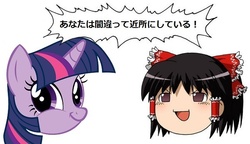 Size: 600x345 | Tagged: safe, twilight sparkle, yukkuri, g4, crossover, japanese, touhou, twiface, wrong neighborhood