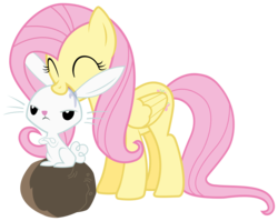 Size: 2513x2000 | Tagged: safe, artist:buckethelm, artist:thatguy1945, angel bunny, fluttershy, pegasus, pony, rabbit, g4, ^^, angel bunny is not amused, animal, biting, crossed arms, drool, duo, eyes closed, flutterhigh, nom, simple background, transparent background, unamused, vector