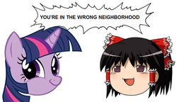 Size: 600x345 | Tagged: safe, twilight sparkle, yukkuri, g4, hakurei reimu, image macro, touhou, twiface, wrong neighborhood