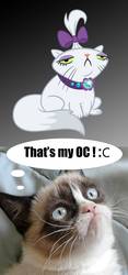 Size: 2480x5315 | Tagged: safe, opalescence, oc, g4, grumpy cat, tard the grumpy cat