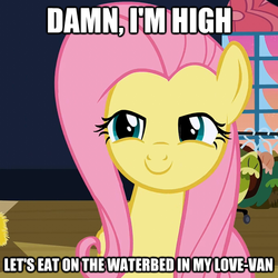 Size: 600x599 | Tagged: safe, fluttershy, g4, flutterhigh, high, hippie, hippieshy, image macro, smiling