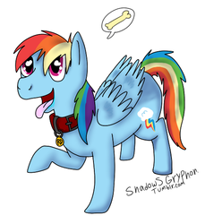 Size: 489x533 | Tagged: safe, artist:shadowsgryphon, rainbow dash, g4, 30 minute art challenge, collar, pet