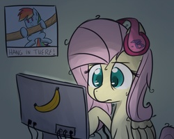 Size: 1000x800 | Tagged: safe, artist:taco-slayer, fluttershy, rainbow dash, pegasus, pony, g4, computer, dark, gamershy, gaming, hang in there, hanging, headphones, messy mane, parody, poster, solo