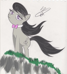 Size: 2517x2796 | Tagged: safe, artist:crimsonbirth, octavia melody, earth pony, pony, g4, female, solo