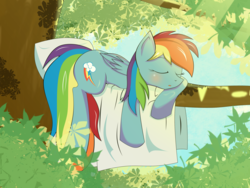 Size: 2592x1944 | Tagged: safe, artist:zzvinniezz, rainbow dash, pony, g4, blanket, cute, female, pillow, sleeping, solo, tree