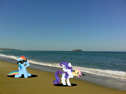 Size: 1600x1200 | Tagged: safe, artist:joeypony, fluttershy, rainbow dash, rarity, g4, beach, glasses, irl, photo, ponies in real life, tide, vector, water