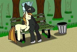 Size: 2961x2000 | Tagged: safe, artist:elniko070688, thunderlane, pegasus, pony, g4, bench, female, male, shipping, stallion, straight