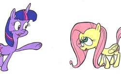 Size: 842x515 | Tagged: safe, artist:bapplejuice, fluttershy, twilight sparkle, g4