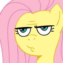 Size: 942x942 | Tagged: safe, artist:megasweet, fluttershy, pegasus, pony, g4, female, mare, pouting, reaction image, solo, unamused