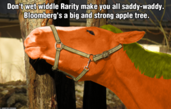 Size: 1024x655 | Tagged: safe, applejack, bloomberg, horse, g4, over a barrel, hoers, irl, irl horse, photo, recolored hoers