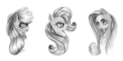 Size: 3193x1600 | Tagged: safe, artist:maytee, applejack, fluttershy, rarity, earth pony, pony, bust, element of generosity, element of honesty, element of kindness, female, grayscale, line-up, mare, monochrome, pencil drawing, portrait, simple background, traditional art, trio, white background