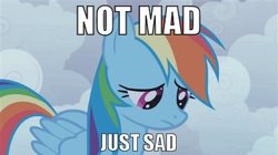 Size: 400x224 | Tagged: safe, rainbow dash, g4, reaction image, sad