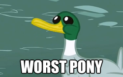 Size: 561x355 | Tagged: safe, edit, edited screencap, screencap, duck, g4, may the best pet win, image macro, op, op is a duck (reaction image), solo, worst pony